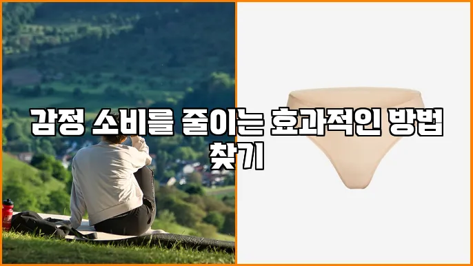 감정 소비를 줄이는 효과적인 방법  찾기
