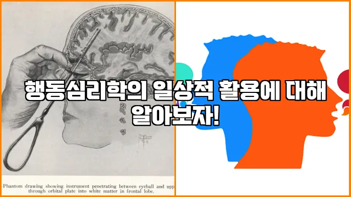 행동심리학의 일상적 활용에 대해 알아보자!