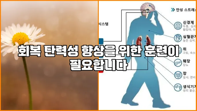 회복 탄력성 향상을 위한 훈련이 필요합니다