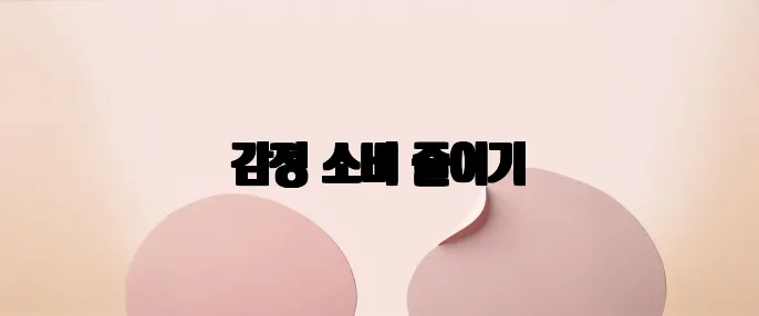 감정 소비 줄이기