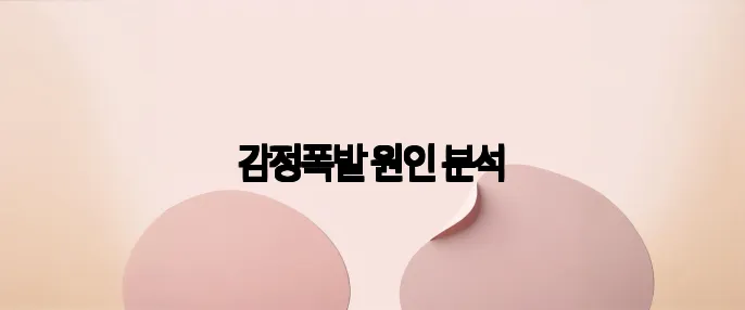 감정폭발 원인 분석