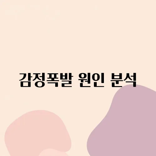 감정폭발 원인 분석