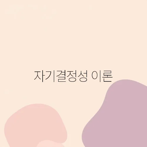 자기결정성 이론